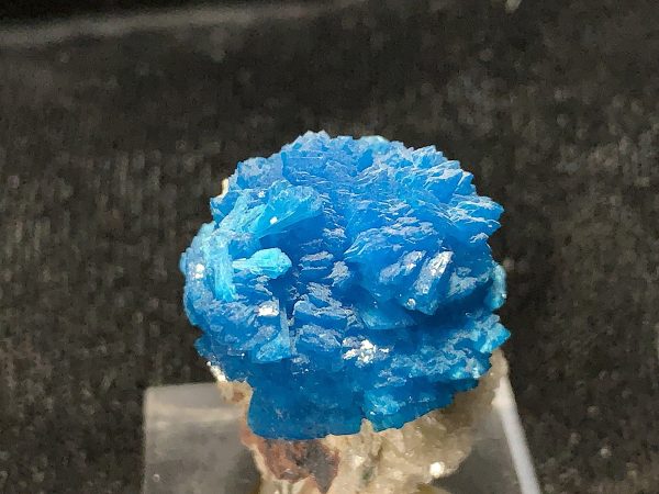 Cavansite on Stilbite Specimen - Image 6