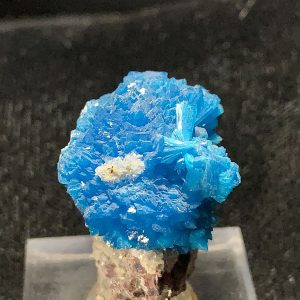 Cavansite on Stilbite Specimen