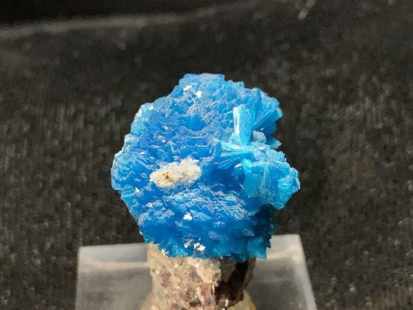 Cavansite on Stilbite Specimen