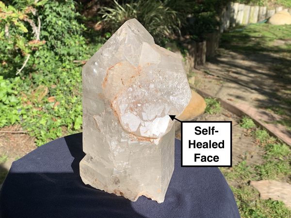 Extra Large Self-Healed Altar Quartz Crystal - Image 9