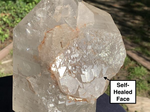 Extra Large Self-Healed Altar Quartz Crystal - Image 10