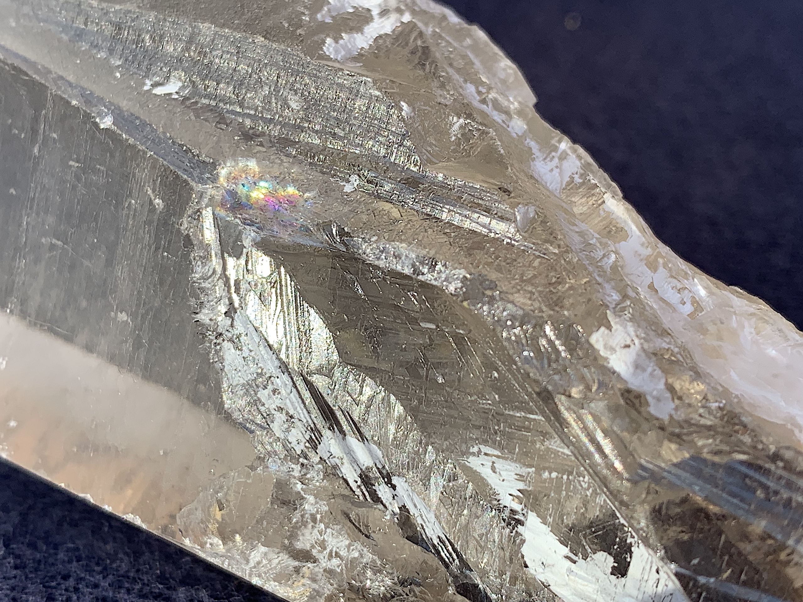 Smoky Lemurian Seed Quartz Tabby Crystal - Image 6