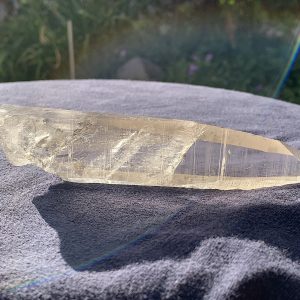 Smoky Lemurian Seed Quartz Crystal