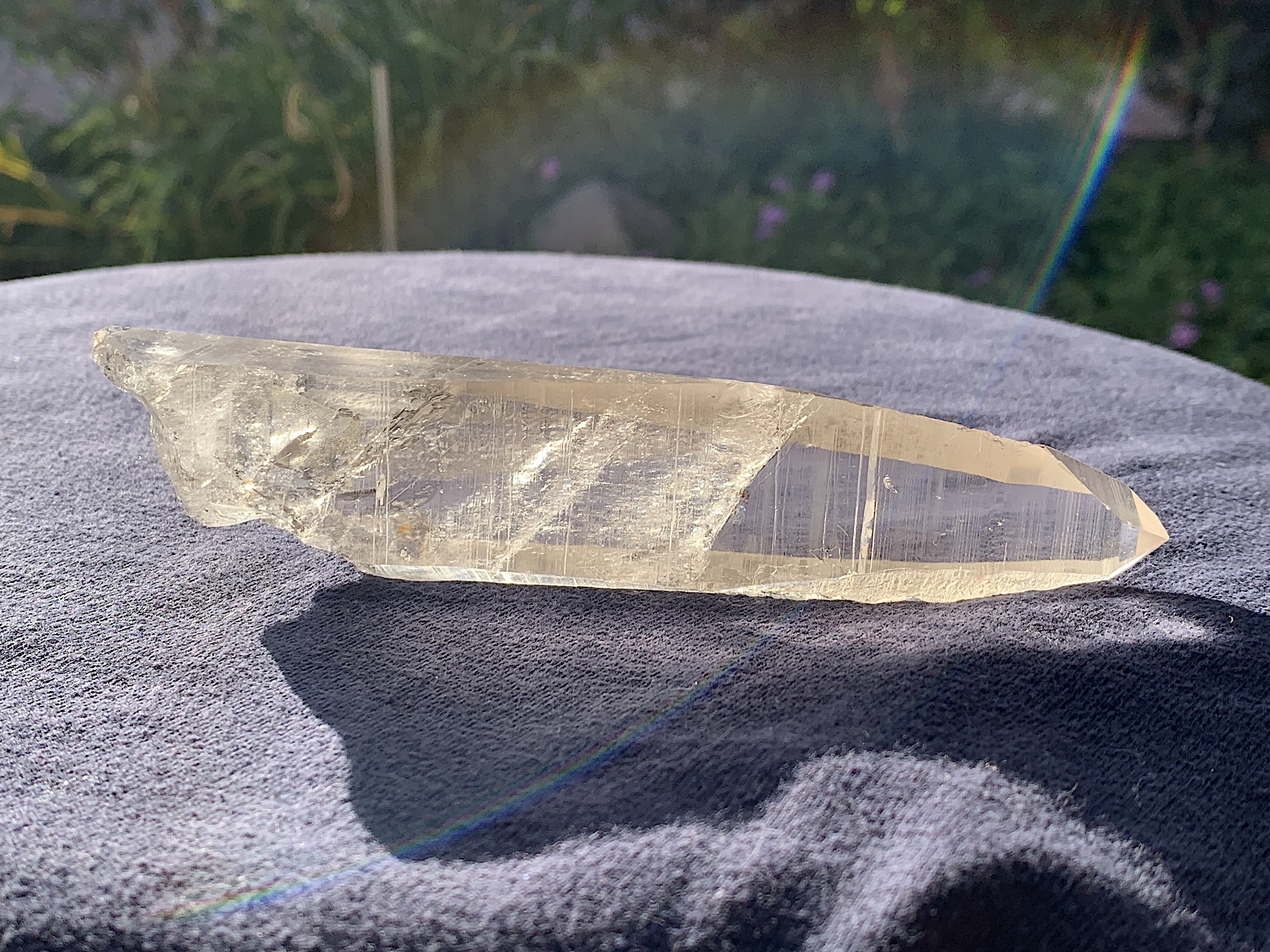 Smoky Lemurian Seed Quartz Crystal